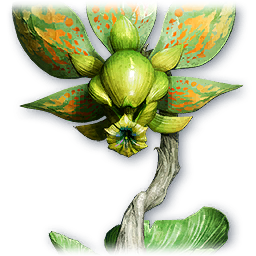 Soul: Forest Dionae (Bound)