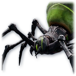 Soul: Baby Odyle Spider (Bound)
