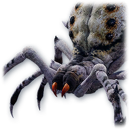 Soul: Ashen Spider (Bound)